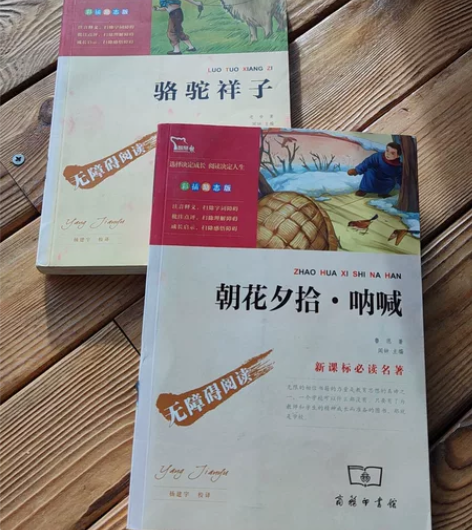 《骆驼祥子》《朝花夕拾 呐喊》 新课标必读...