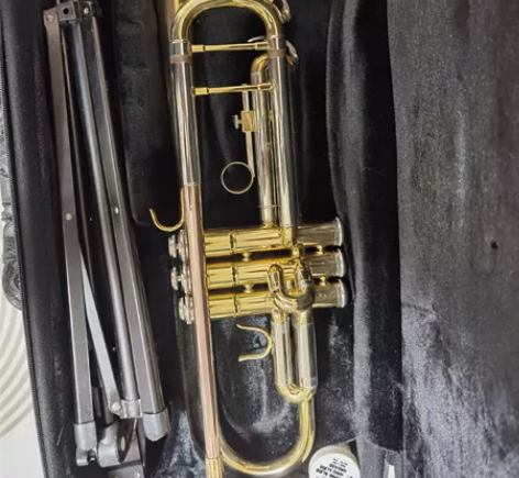 #乐器# 推荐人群 小号初学者 使用感受 ...