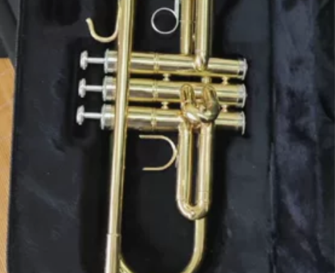 处理小号！买来没怎么吹！ 感兴趣的话点“我...