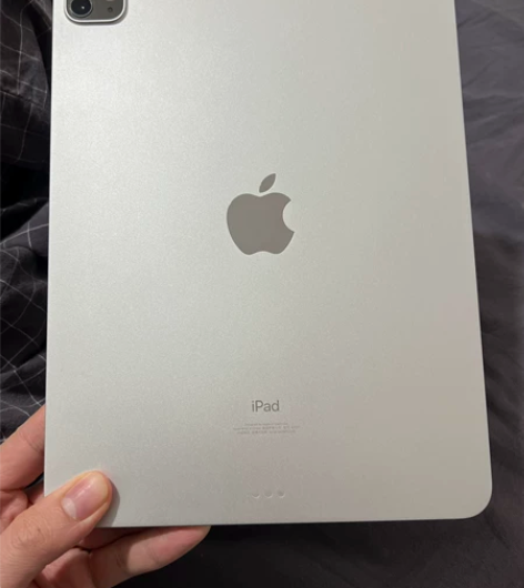 Pad Pro (2021) 11.0英寸...