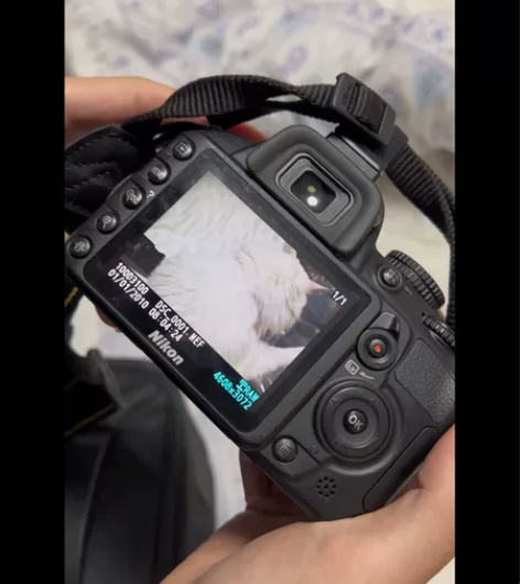 Nikon/尼康D3100套机学生款入门级...