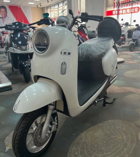 五羊，五羊，五羊，新款小龟王，新车新电池6...