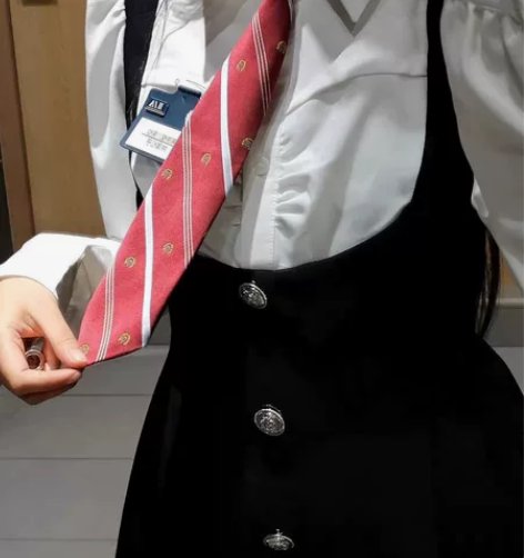 画解 校园小说女主 假两件连衣裙女秋学院风...