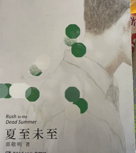 郭敬明《夏至未至》几乎全新 现闲置 绝对正...