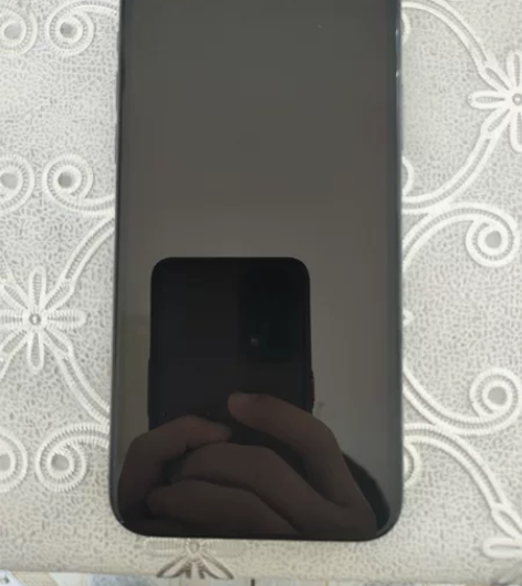 个人自用iPhone X,95新,屏幕后壳...