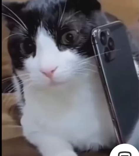 图先欠着，真我GT 12+256 黑色想换...