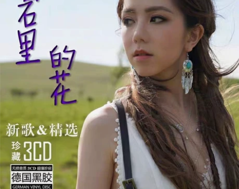 邓紫棋cd3碟黑胶专辑经典老歌民歌发烧试音...