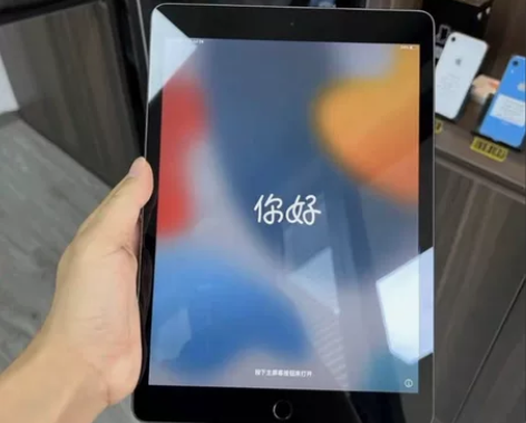 Appleipad 2021款256g10...