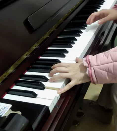 星海钢琴，海乐儿，星海加拿大合资品牌。出国...