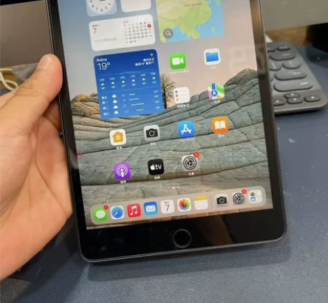 个人自用 ipad mini5 256g ...