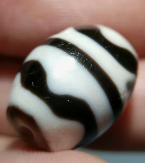 高糯钙化凹坑明显可见达洛虎牙天珠，整体蕞高...