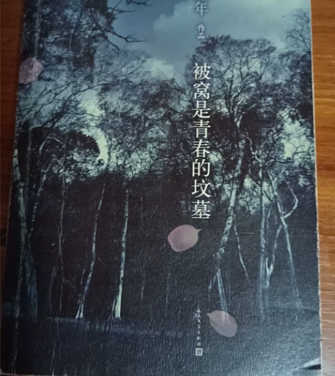 【正版二手书】人民文学出版社知名作家七堇年...