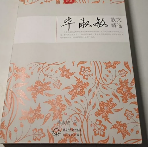 毕淑敏散文精选 毕淑敏 长江文艺出版社 闲...