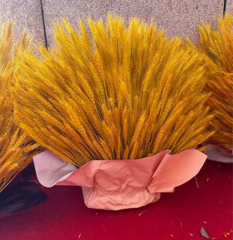 全新开业花篮大麦 都是300-400支一个...