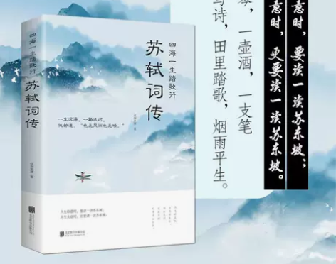 苏轼诗词全鉴 苏东坡传记  苏东坡诗词全集...