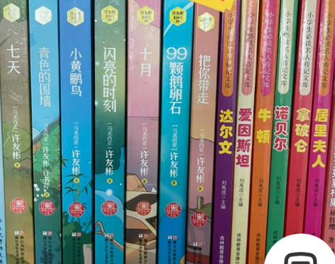 许友彬儿童书籍一套名人传记(共13本) 感...