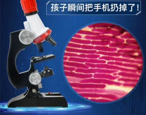 康大显微镜儿童科学初中生小学生专业生物高倍...