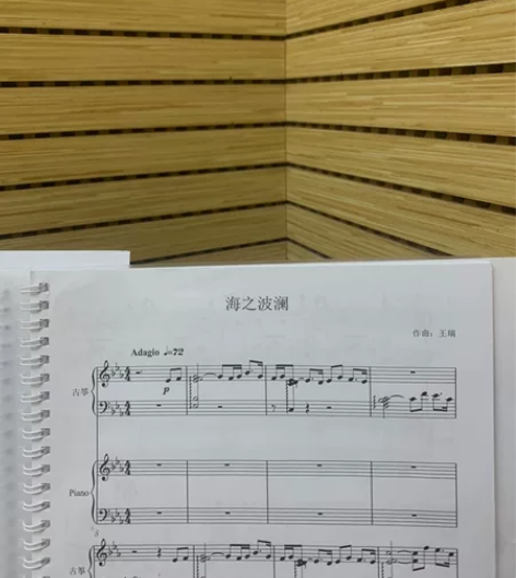 古筝海之波澜简/线谱总谱合集～需要的私聊我...