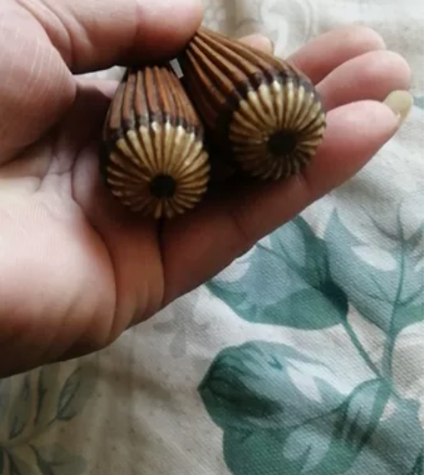 老二胡扭一对，品相如图，110包邮，不议价...