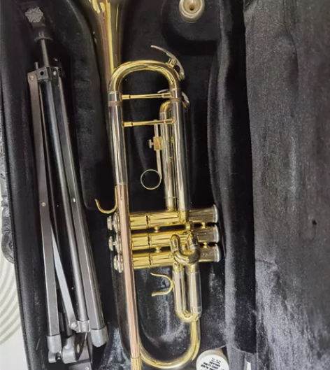 #乐器# 推荐人群 小号初学者 使用感受 ...