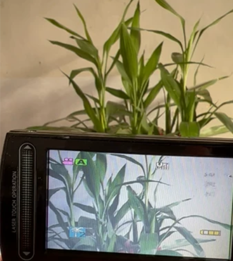 JVC  GZ-MG730AC   硬盘摄...