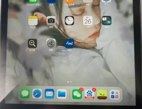 iPad 9代 2021款 10.2英寸二...