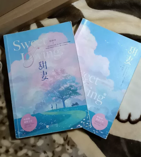 闲置二手小说甜妻上下咬春饼 新增番外后记都...