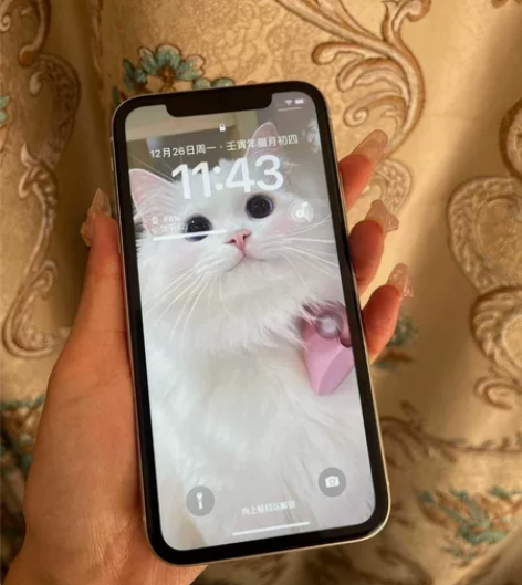 苹果11白色国行256g，外观95新，左上...