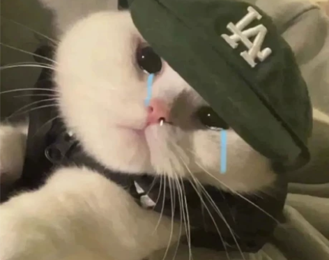 教师资格证考试经验分享 本人考的是初中地理...