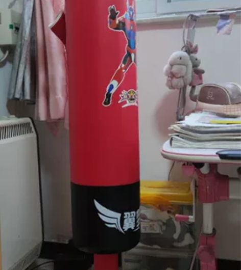 拳击训练器材，送两副手套，50元自提 感兴...