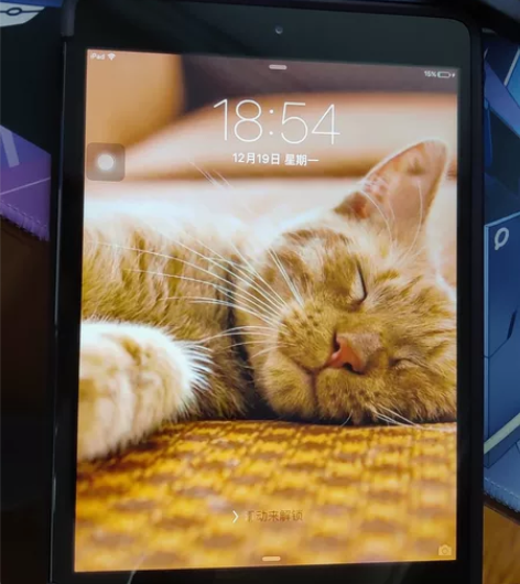 ipad mini1 16g裸机 成色很新...
