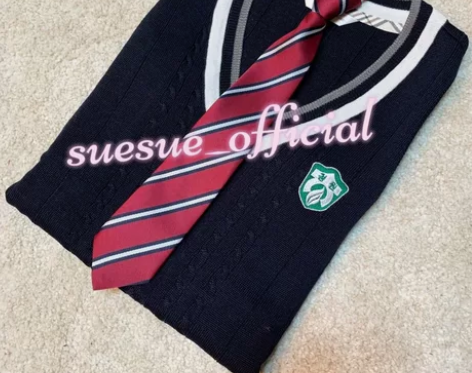 青园女高领带 退坑单出不包u#韩国校服#韩...