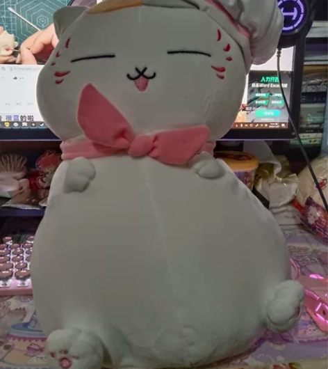 猫老师厨师一弹赏A赏玩偶 睡衣柜基本全新