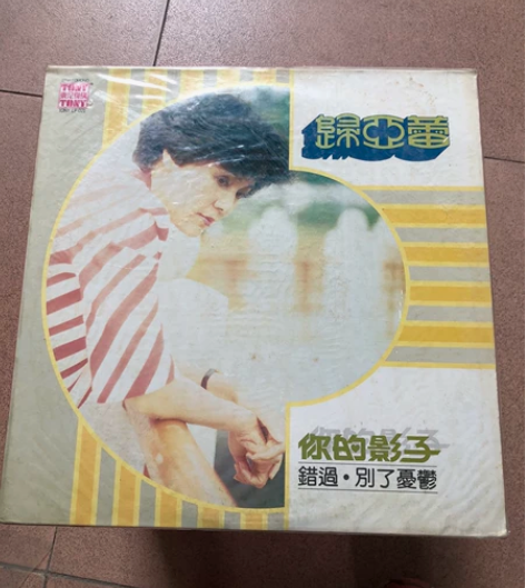 归亚蕾黑胶唱片巜你的影子》，98新，东尼机...