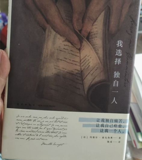 外国文学书!价低!非常好看,前三个月买的,...