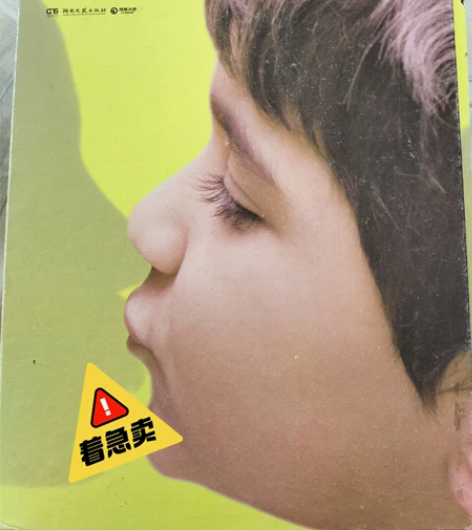 偷影子的人，外国文学书，是我姐给我买的生日...
