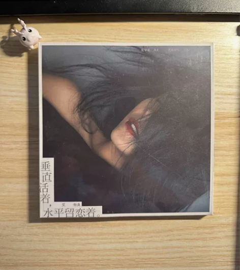 【全新未拆】垂直活着水平留恋着  内地引进...