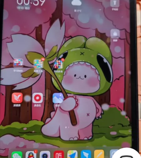 小米平板5 por 5G版 （可插卡） 最...