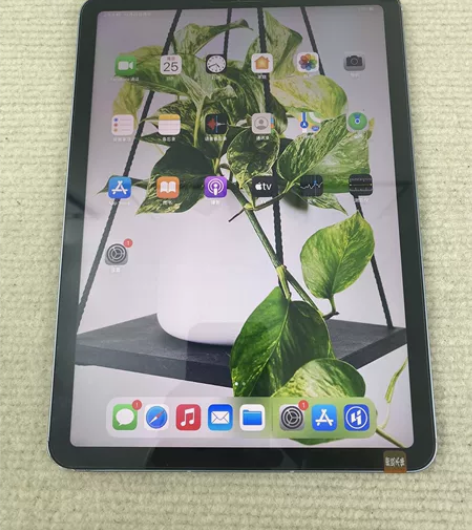 iPad Air4 四代 10.9寸256...