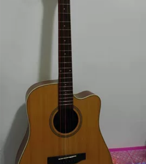 Dove吉他/ 鸽子吉他 可买来练手，琴箱...