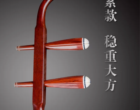 天乐红木二胡乐器初学练习考级演奏成人儿童通...