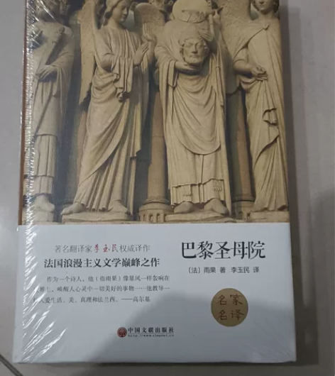 全新未拆封课外书《巴黎圣母院》，整理不用的...