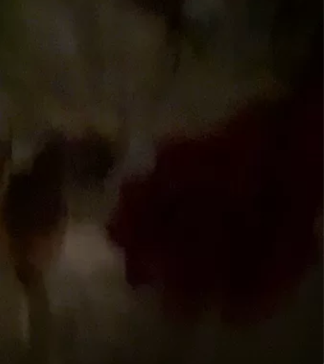 宾得k30单反相机带原厂宾得DA16-45...