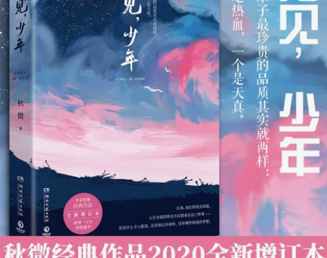 青春文学 正版青春文学再见 少年 秋微著 ...