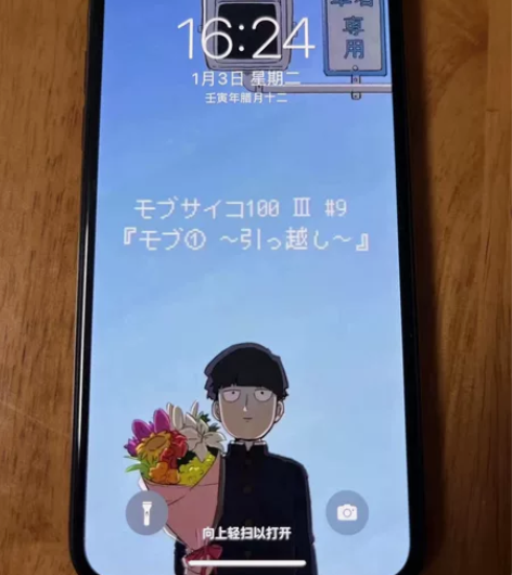 苹果 X  256G，iphoneX  支...
