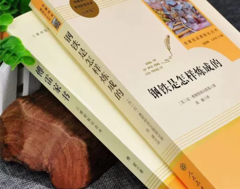 〖收书〗《傅雷家书》+《钢铁是怎样炼成的》...