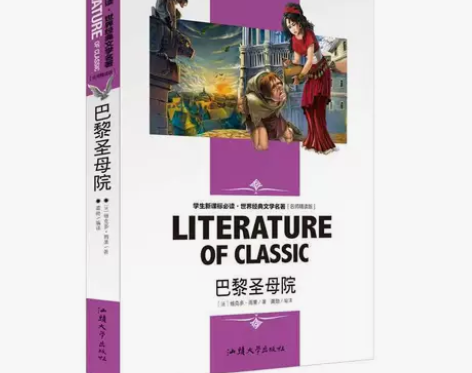 世界经典文学名著 正版 巴黎圣母院 名师精...