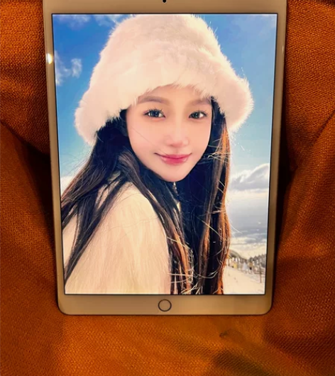 2019款iPad Air3插卡版4G 内...