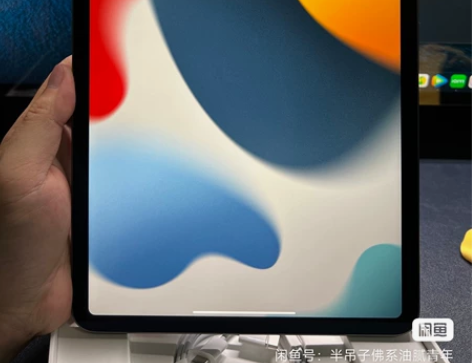 Apple iPad Pro 11英寸平板...