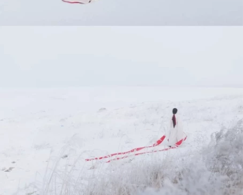 【成都汉服出租】停云流光汉服 无双 原创魏...